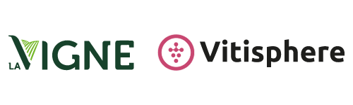LOGO VV 250X75 – 2 taille x 2.png