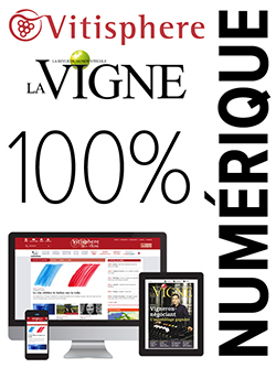Vitisphere La Vigne 100% Numérique
